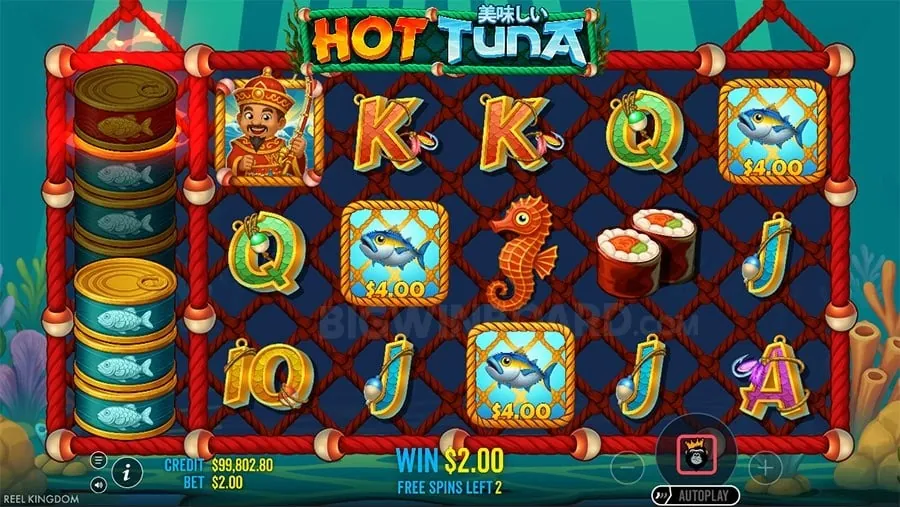 Analytical Tools for Sports Betting on bigbunny